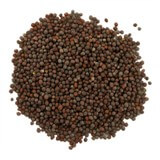 Oilseeds